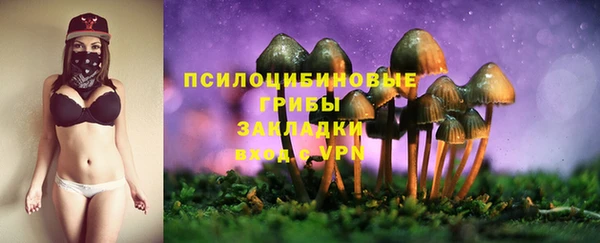 твердый Осинники