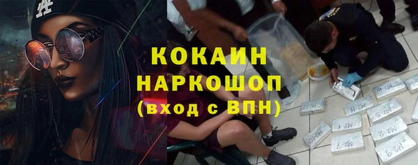 твердый Осинники