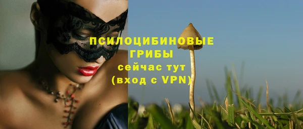 твердый Осинники