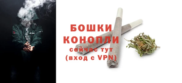 твердый Осинники