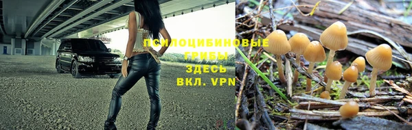 твердый Осинники