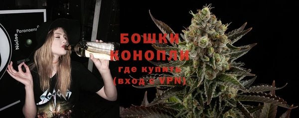 твердый Осинники